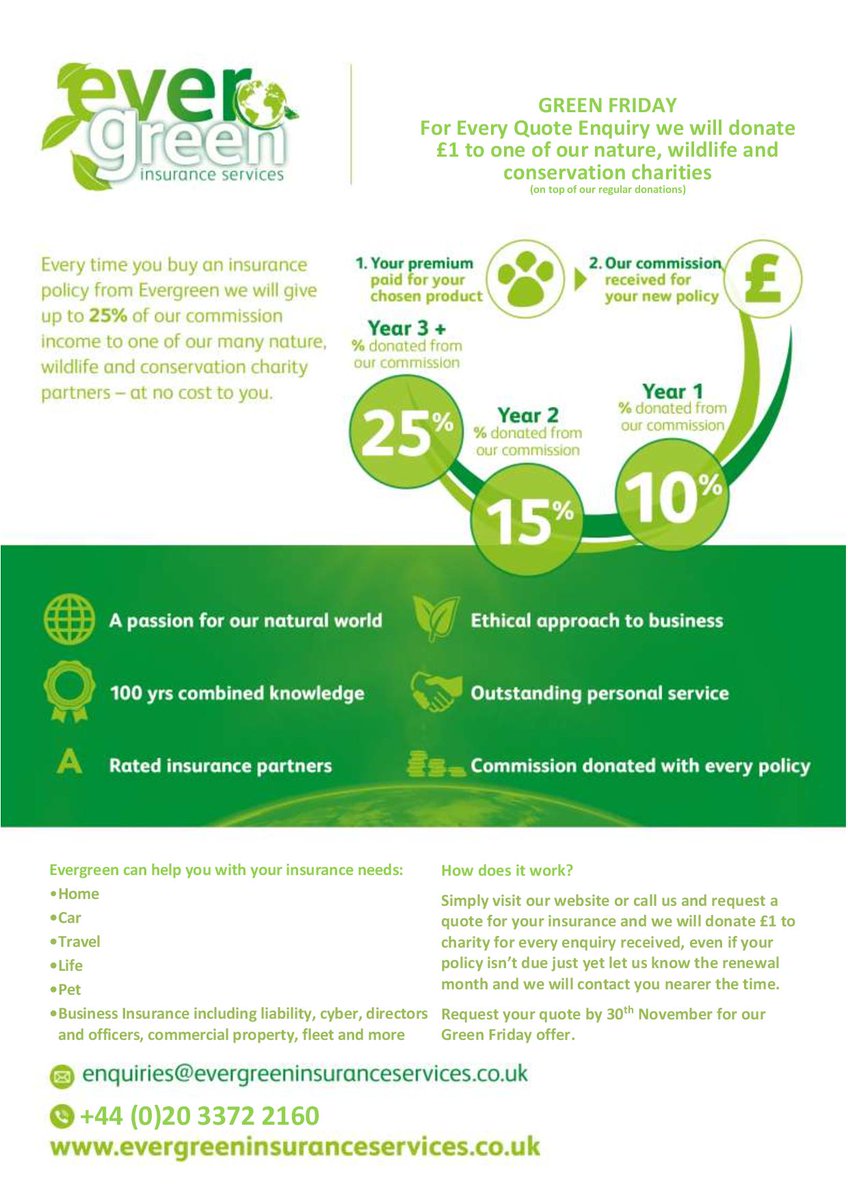 Evergreen Insurance Services tweet media