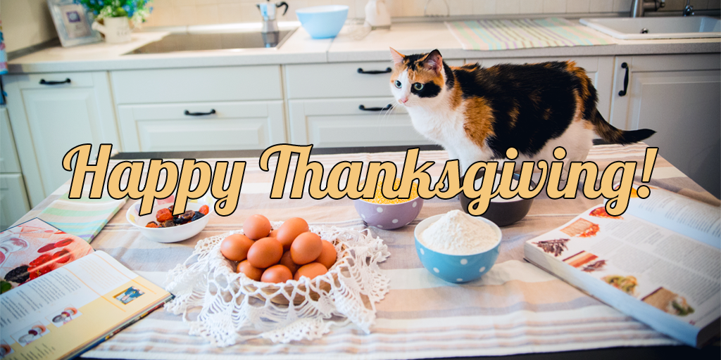 Thankful for pets who help us cook Thanksgiving dinner! Shop turkey treats for pets >> bit.ly/2yz7qAu #HappyThanksgiving