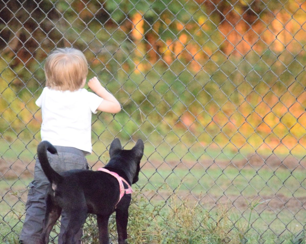 Christina Harvey tweet media