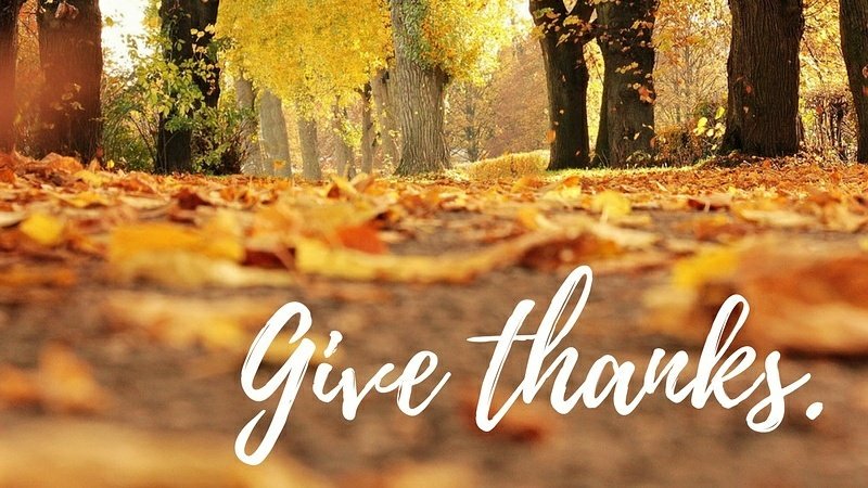 WeAreNPA's tweet photo. “Cultivate the habit of being grateful for every good thing that comes to you, and to give thanks continuously." —Ralph Waldo Emerson #Thanksgiving #GiveThanks https://t.co/uZ3amqTfXL