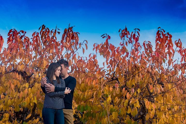 hectormiraphoto's tweet photo. Hoy toca una recién sacada del horno, de la preboda de ayer. Para aquellos que creen que los cerezos solo son bonitos floreciendo, para mi, en otoño lo son mucho más. Preciosa tarde y divertida con Isabel y Victor. https://t.co/w39AvSagRQ