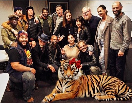 kharypayton's tweet photo. You'll all be glad to know that Shiva is fine &amp; looking lovely in her favorite holiday bow. (She later ate @JimGaffigan) Happy Thanksgiving! https://t.co/h9qf2ZVDQI