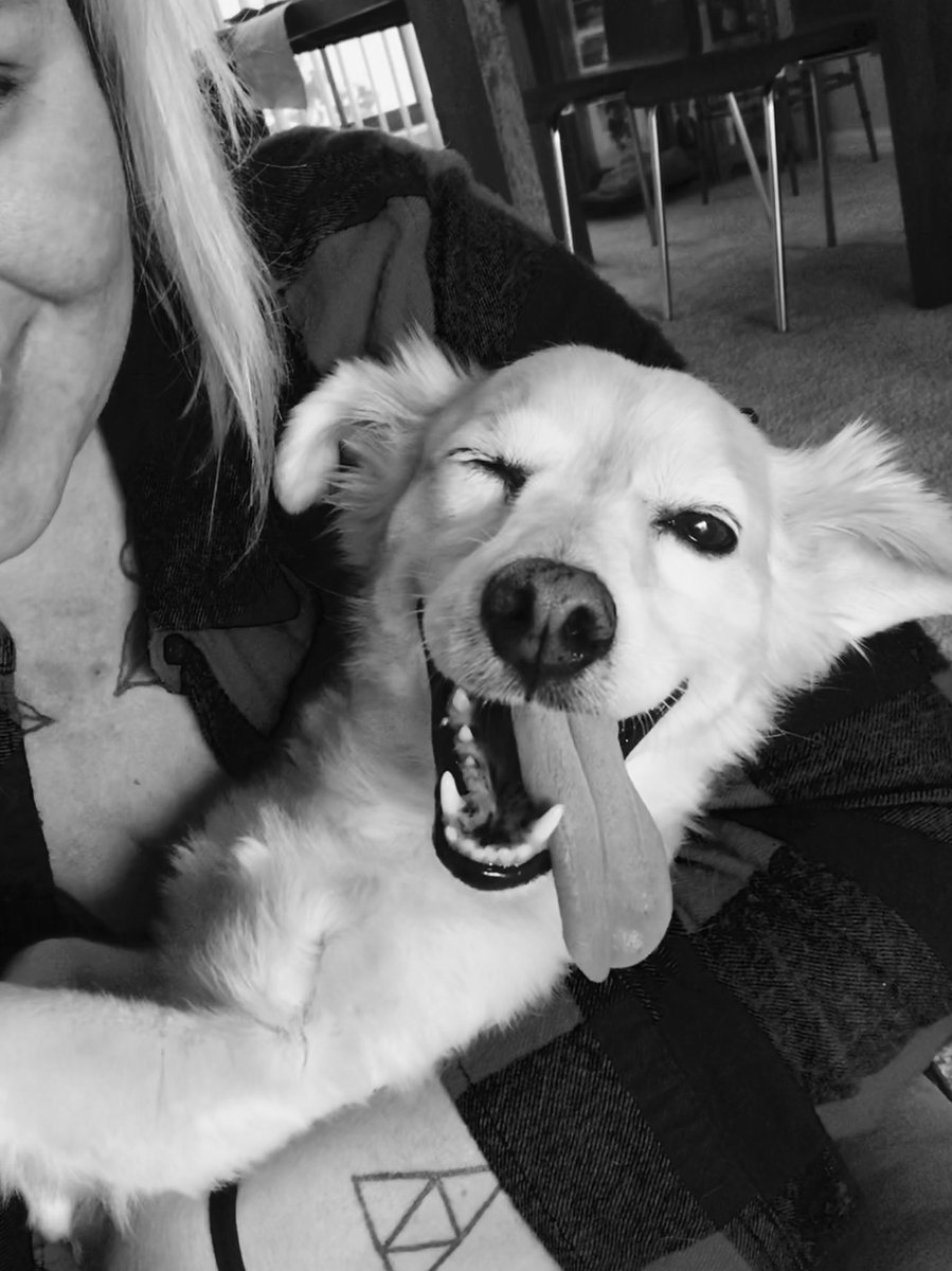 #DM3KYLE Boo is Kyle’s friend