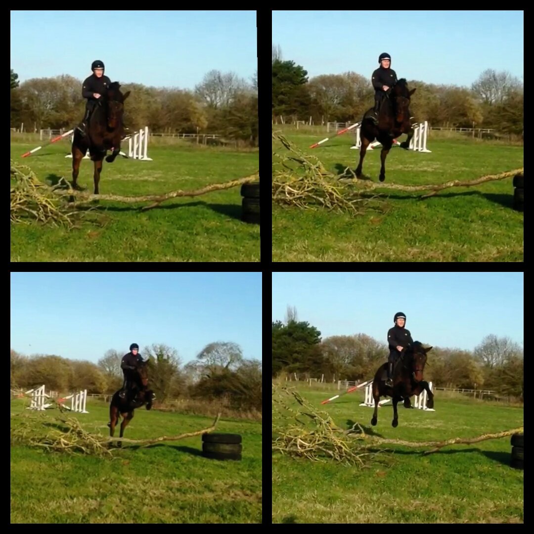 Thank you to <a href="/CHGrazing/">Coldharbour Grazing</a> who are doing a wonderful job breaking in my 3yo! Just over 2 weeks since she was first sat on, to this! ✈ 🐴 😊