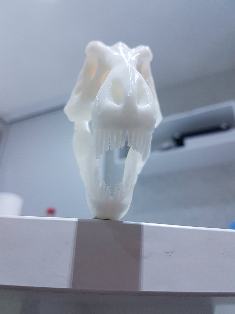 3_daddict's tweet photo. #impressiondujour #printofday #3dprint #impression3D @Zortrax_3D #Zultra #200microns #t-rex #JurassicWorld @3dUgt https://t.co/njYtfie7GE