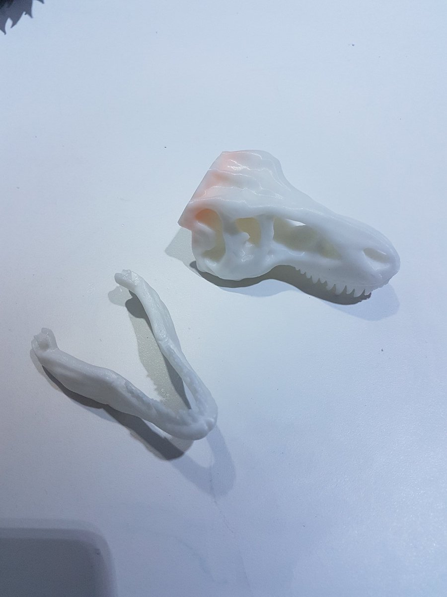 3_daddict's tweet photo. #impressiondujour #printofday #3dprint #impression3D @Zortrax_3D #Zultra #200microns #t-rex #JurassicWorld @3dUgt https://t.co/njYtfie7GE
