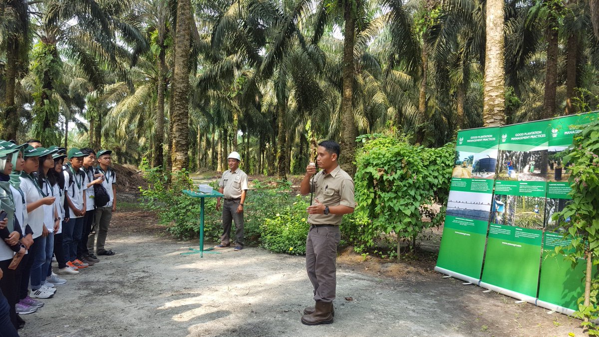Tanoto Scholars UI tweet media