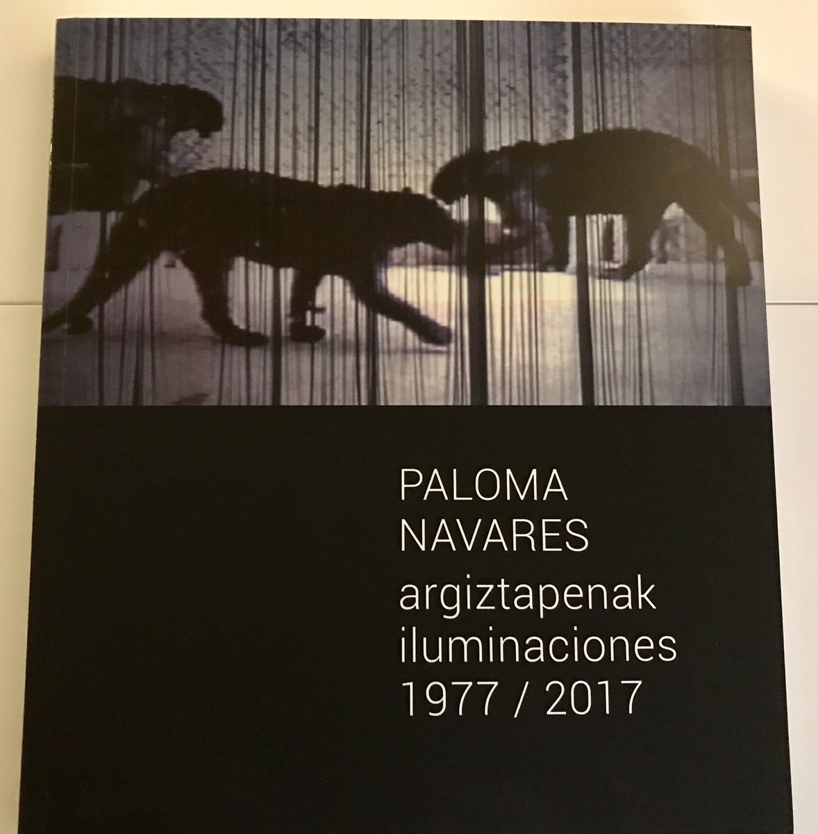 Por fin, el catálogo de la retrospectiva de Paloma Navares con imágenes de las instalaciones en Kubo, Donosti/San Sebastián
🤓👍