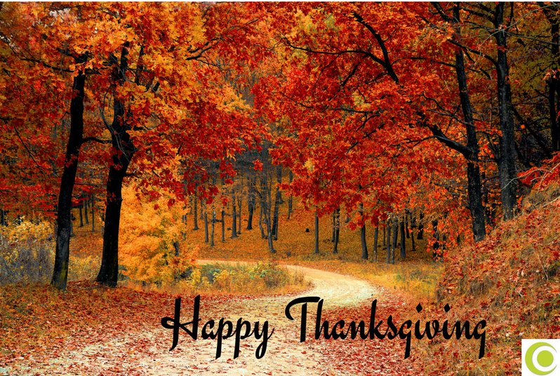 Happy Thanksgiving from Envirobond! We're thankful to be connected with you.  #HappyThanksgiving2017 #ThankfulFor