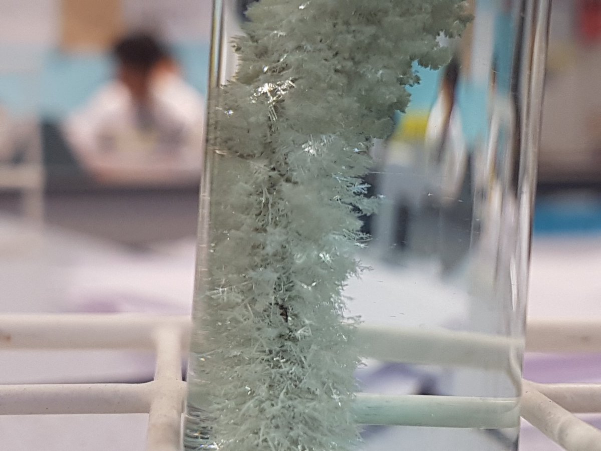 NTA_STEM's tweet photo. Anoushree and Jessica in Mr. A-Qs science class making the best silver crystals @Nightingale_NTA @NTA_STEM @AETAcademies @AETscience #wedoexperiments #goodschoolgettingbetter https://t.co/SybgptO5WY