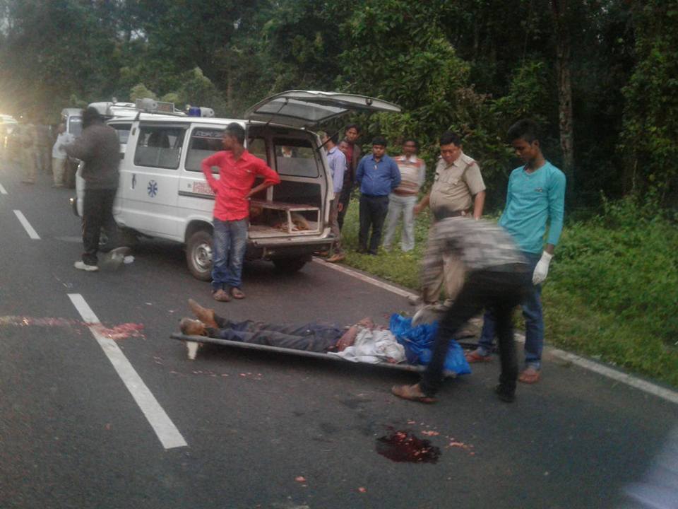 comila_class's tweet photo. Elephant human conflict – Killed himself with his mistakes at Jalpaiguri – Lataguri - https://t.co/7FuyT1pXeH
#jalpaiguri #elephant #lataguri #jaldapara #Killed https://t.co/GPFO4RVXQu