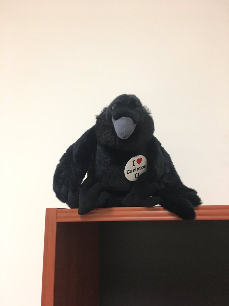 juliavanbrussel's tweet photo. @Carleton_U look who I found! #SpotTheRaven 😊 https://t.co/K1hgqYBdWr