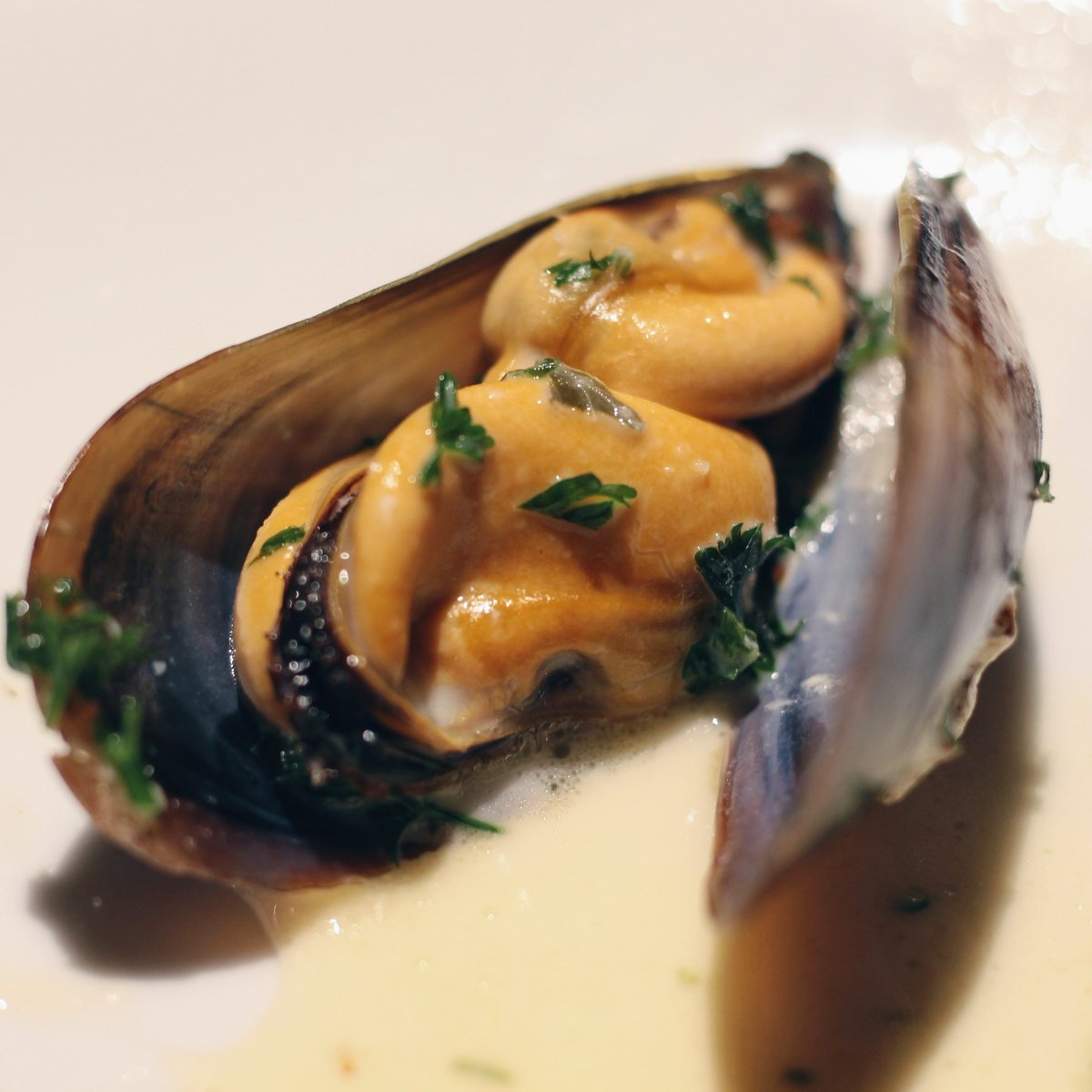 sophiesscran's tweet photo. REVIEW | Ooooh #Yorkshire, aren't you pretty? Lush weekend with @SeafoodPubCo https://t.co/MB2UrMLK4Z #Harrogate #Ripon #fdbloggers https://t.co/8yegz6MtTZ
