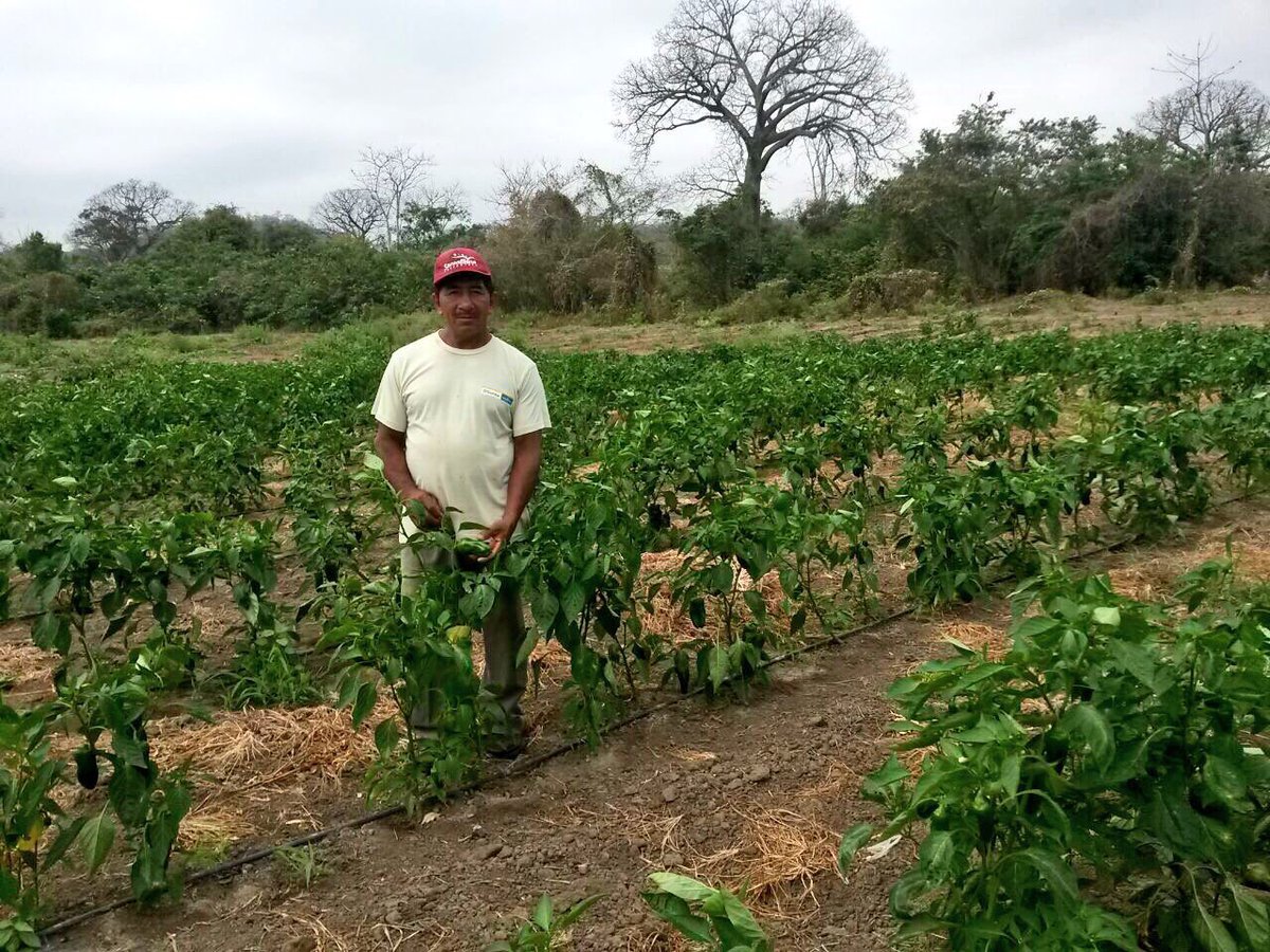 Ministerio De Agricultura Y Ganaderia On Twitter Mag Brinda