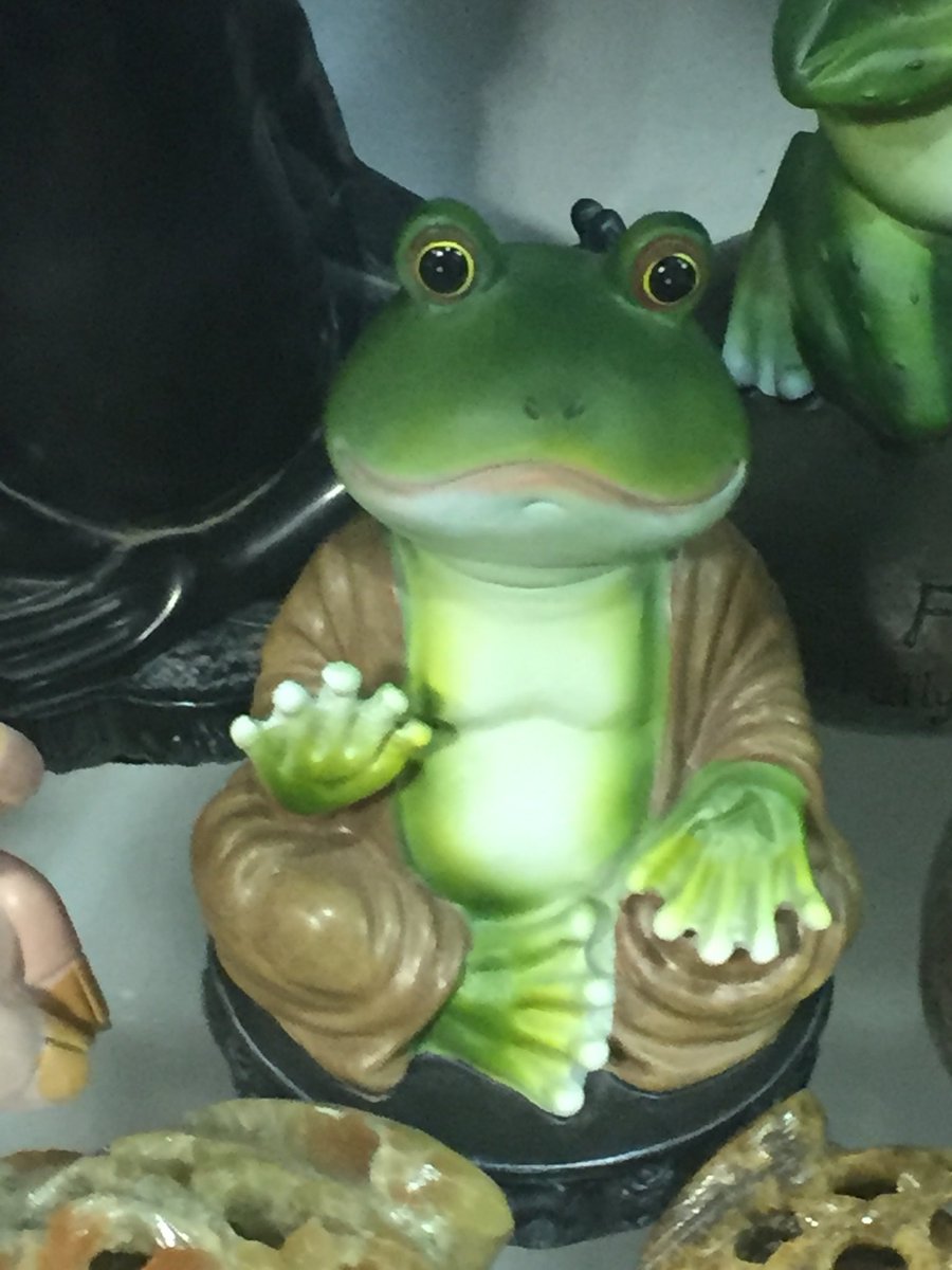 The_MOE_Dome's tweet photo. Happy Thanksgiving 🦃 - it’s my 2nd least fav Holiday #praiseKek #Shadiley https://t.co/O0BbF0u65E
