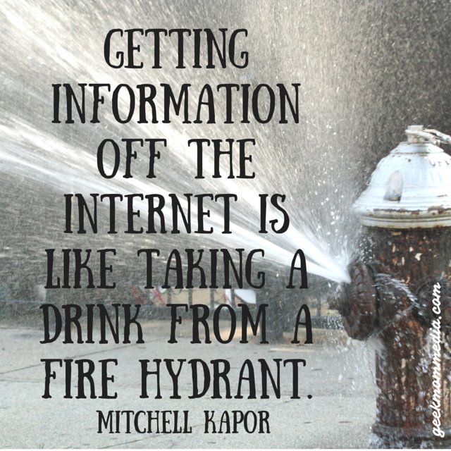 coolgames24's tweet photo. Getting information off the internet is like taking a drink from a fire hydrant Mitchell Kapor #advice #quote https://t.co/V7MUVzh4Xt