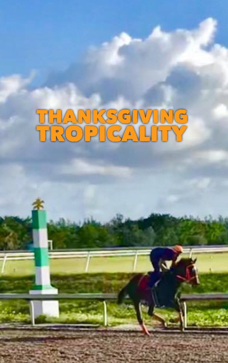 TropicalRacing's tweet photo. Training day is every day ... Happy Thanksgiving from @troyl30 and @simonracing117
#Tropicality #tropicalracing #thoroughbred #horseracing #fastfilly #simonracing #thanksgiving π¦ #letseat https://t.co/HXwRMO504w