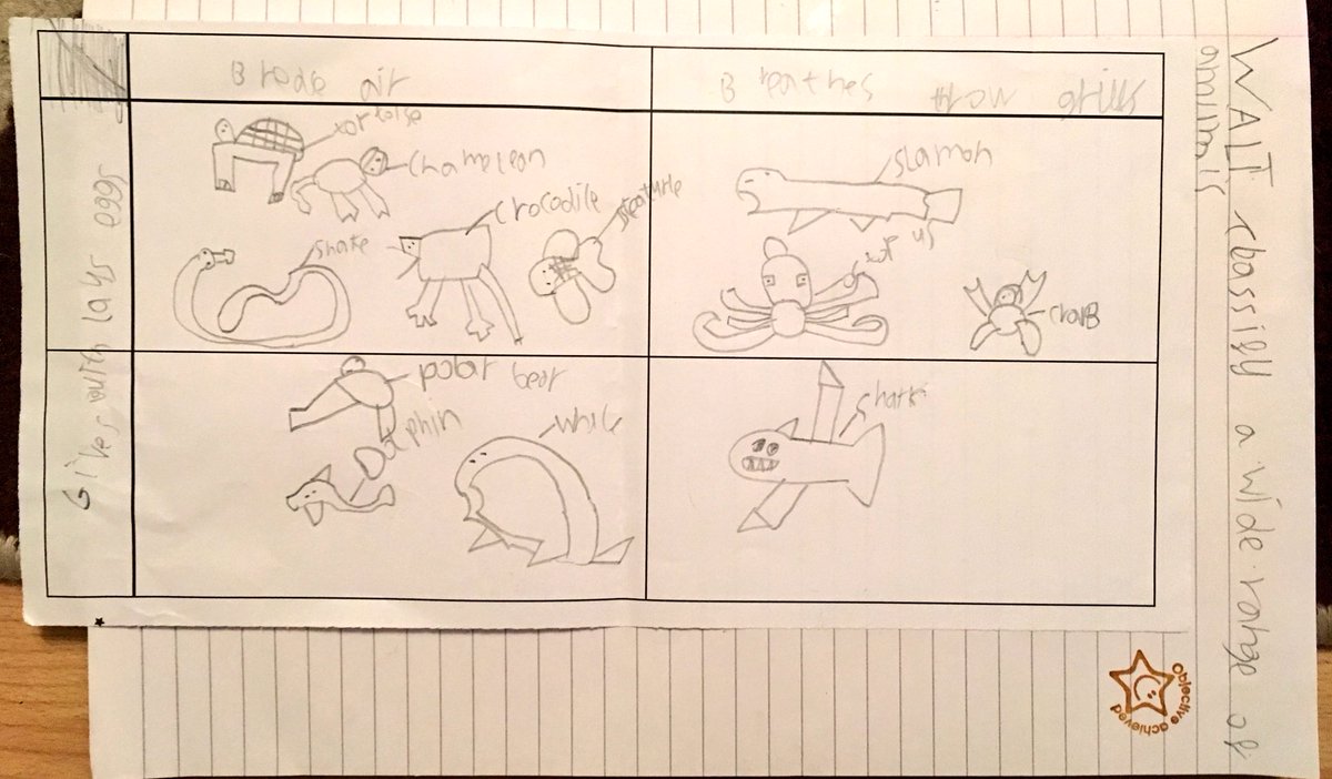 MissRJRiley's tweet photo. My class of scientists were given a task: show me how much you have learned about animal classification. Some great mini-projects were produced...I also found out that polar bears lay eggs and ducks have arms. #scienceassessment https://t.co/3eRgHo7dUh