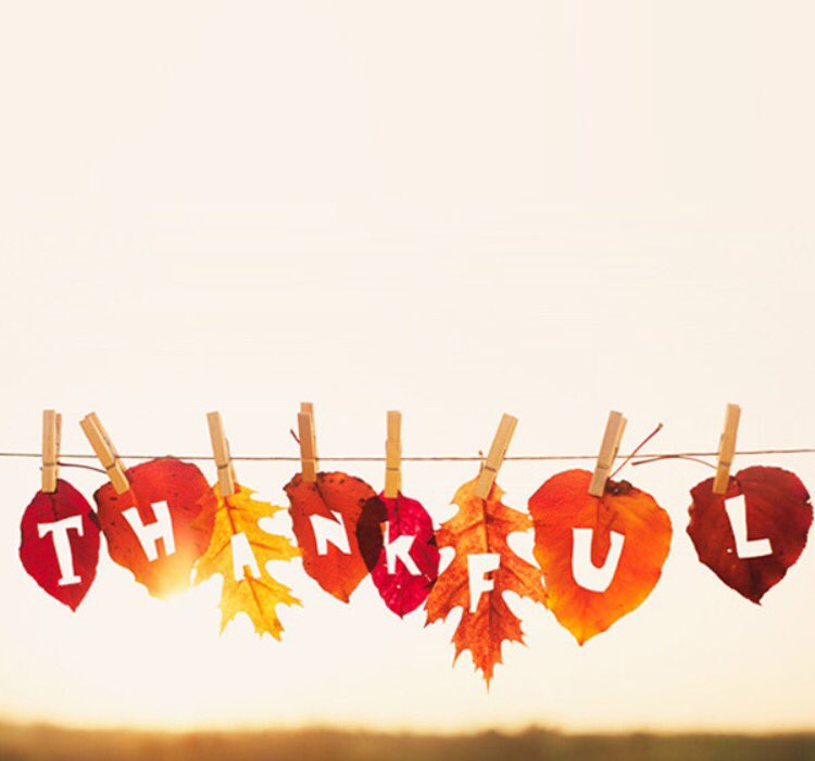 SFALPFA's tweet photo. Happy Thanksgiving, ALPFAmilia! #SFALPFA https://t.co/dLIdwPPXh8