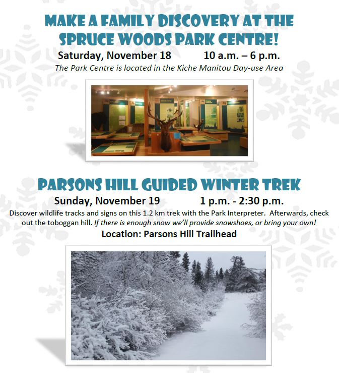 MBGovParks's tweet photo. Join #MBParks Interpreters in Spruce Woods this weekend and make a family discovery! ☃️  https://t.co/iQpHAf7X1t https://t.co/QMaAG0ez7A
