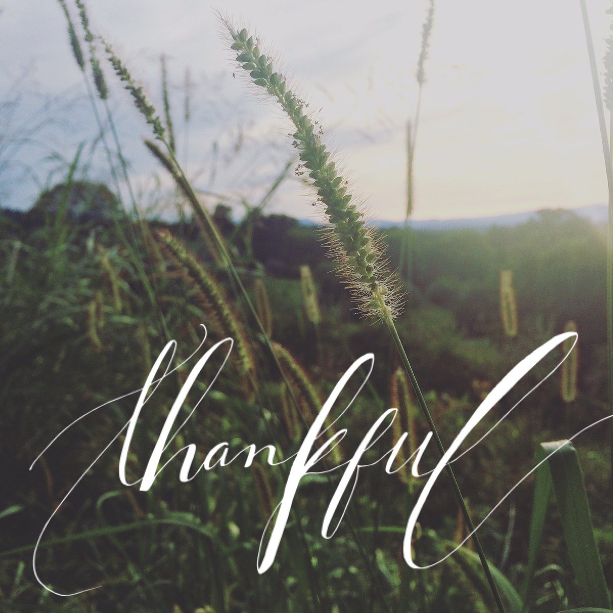 carenetprcs's tweet photo. . . H a p p y 🍁 T h a n k s g i v i n g . .  
Tag someone you’re thankful today, or share a #unselfie!
.
.
.
#thanksgiving #thankful #turkey #prolife #dogood #thankfulthursday #thursday #spreadlove #hope #grateful #carenetprcs #nonprofit #voice4life #generosity #hospitality https://t.co/iDINMpfVVh