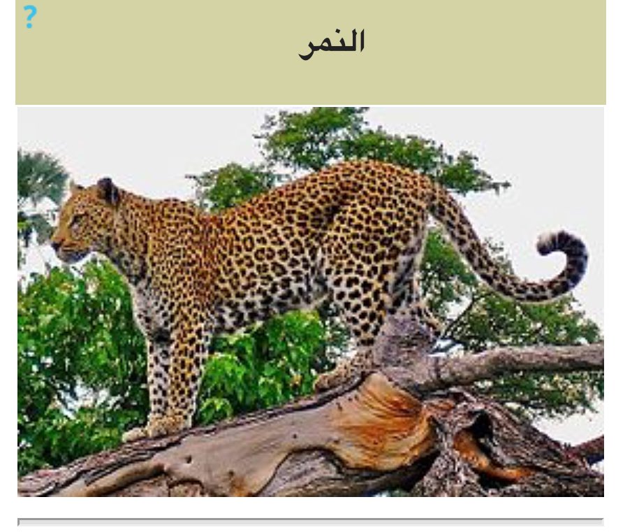 E_8rd's tweet photo. @Eyaaaad الحيوان اللي في الصورة يسمى ببر وليس نمر.. https://t.co/ytT0PrFwRU