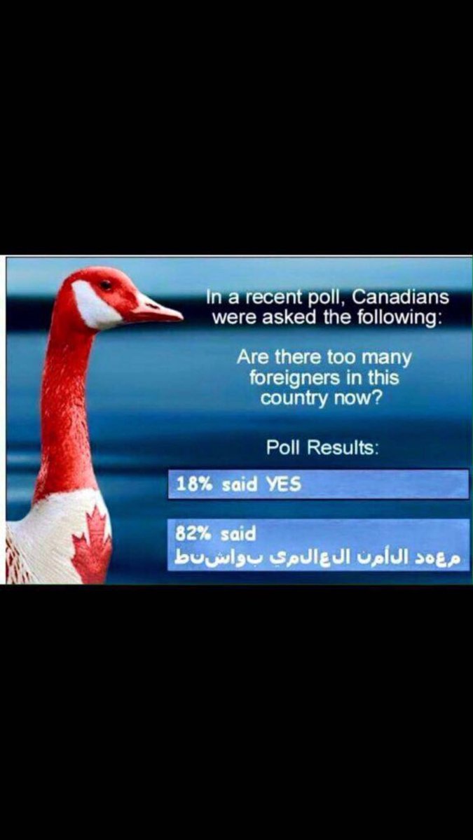 SoMitchell92's tweet photo. I couldn’t resist. #cdnpoli https://t.co/ztZJDSqz8t