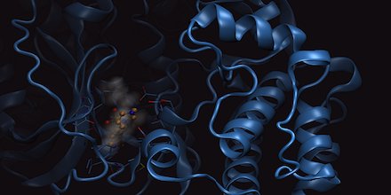Labiotech_eu's tweet image. Here&apos;s how to best exploit #proteome #structuraldata for #drugdesign @Discngine  ☛ bit.ly/2iGlTHT