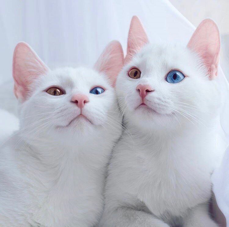 😍