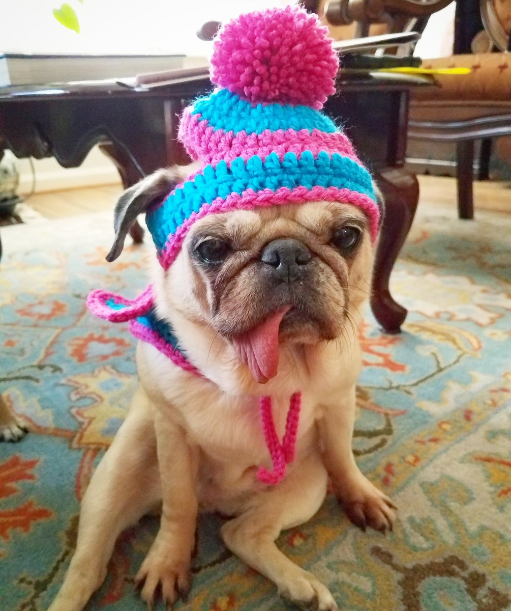 funaek's tweet photo. "You crazy humans. Find another way to amuse yourselves." #Arfscarf https://t.co/EpQvGpNwEo