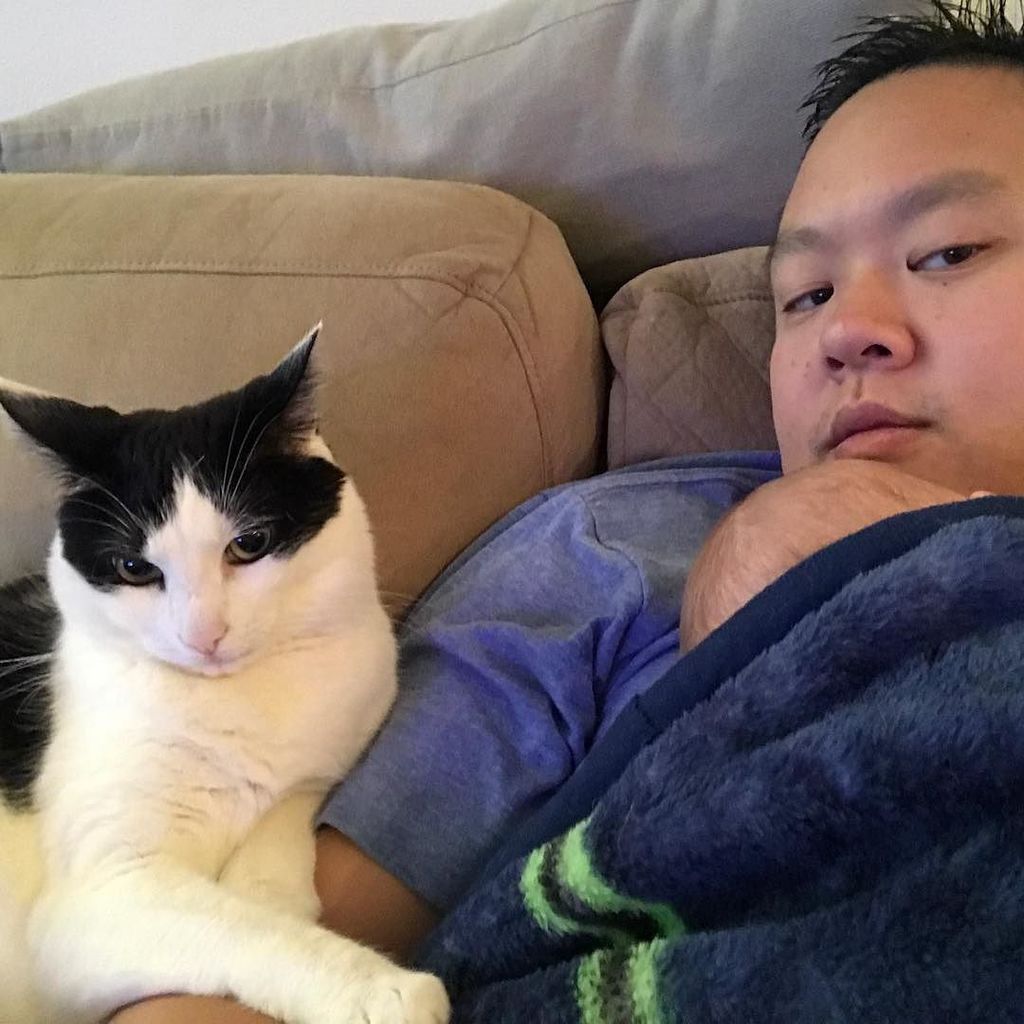 RJW2001's tweet photo. It's a "Everyone on top of Dad!" Thanksgiving. #AAW #PrincessPanda 😸👸🏼🐼💤 https://t.co/X4kygZqycI