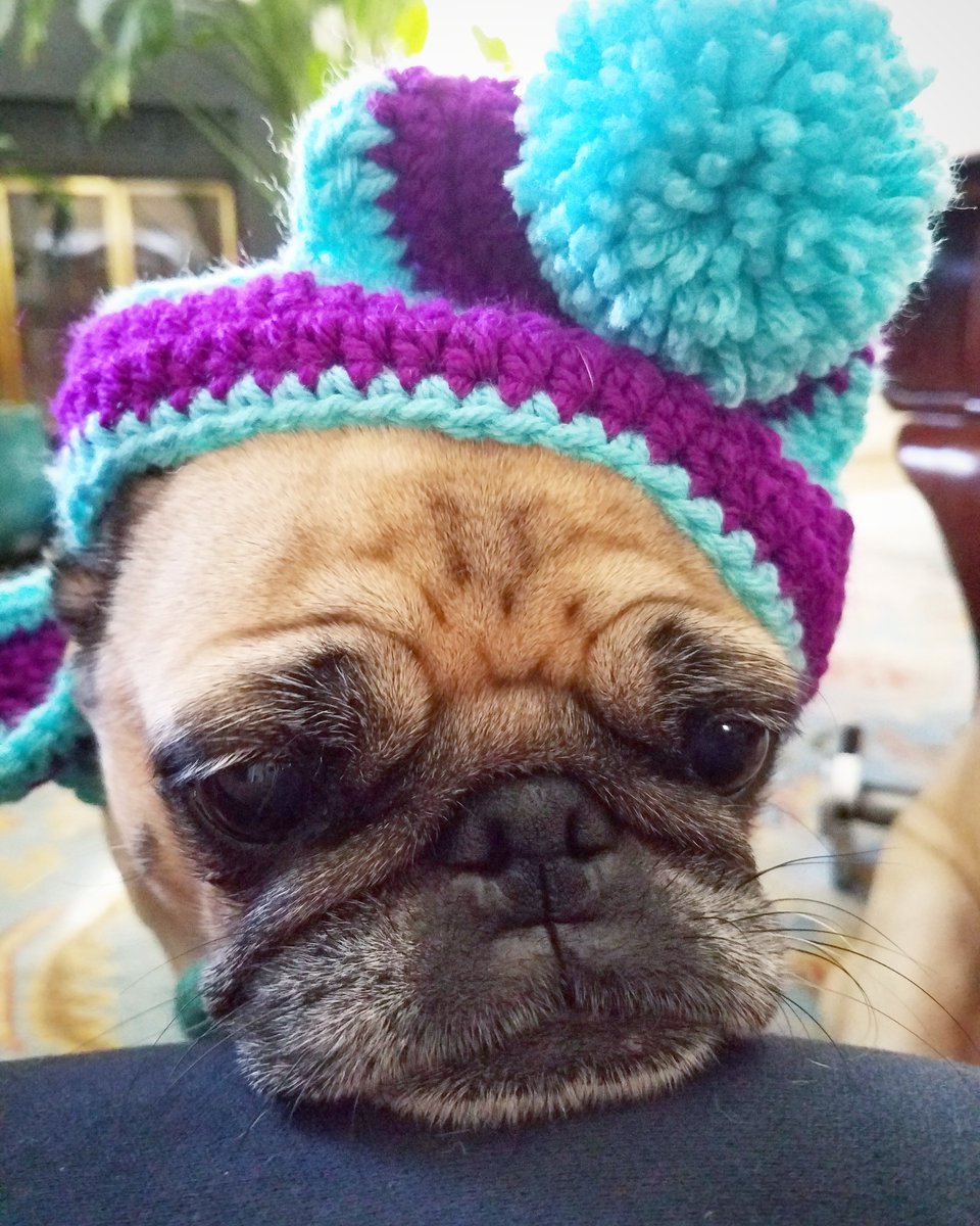 funaek's tweet photo. "Well, at least this protects my ears from Monkey." #Arfscarf https://t.co/ZdSJxcmVtE