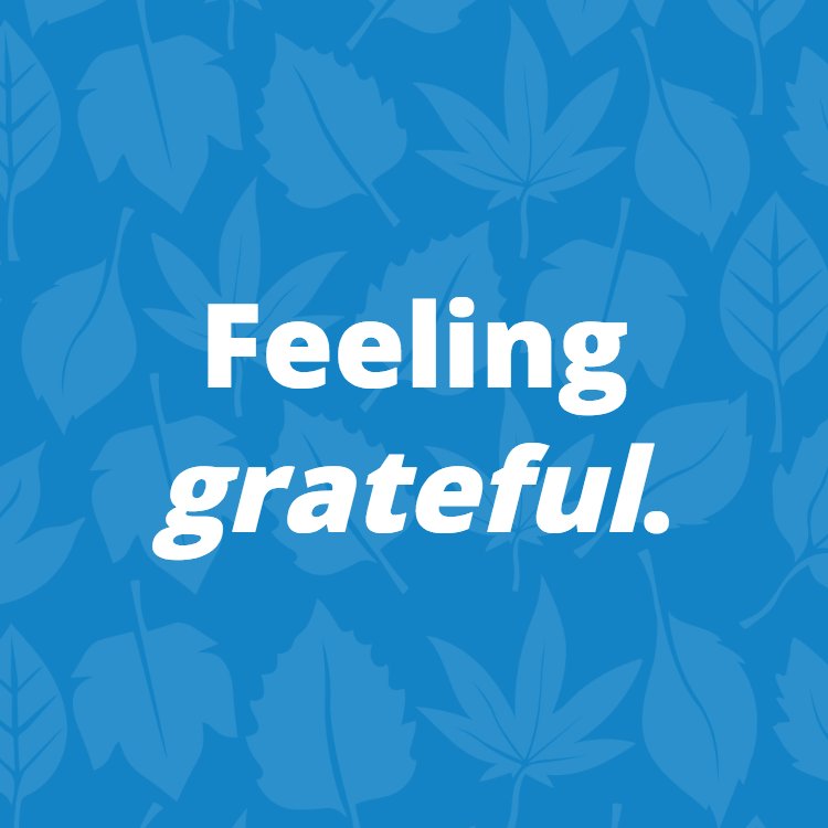 GDCDive's tweet image. At Gulfport Dive Center, we're thankful for all of you today and every day. Happy Thanksgiving!