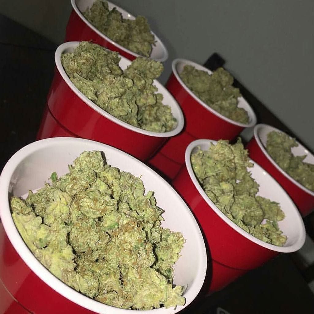 ZamalHills's tweet photo. #stoner version of beer pong https://t.co/nJh2dHRK85