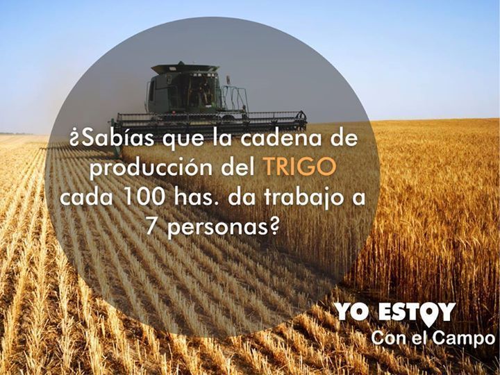 Mirá el empleo que puede generar esta cadena