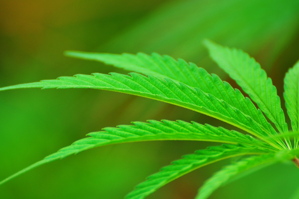 lift_events's tweet photo. Could endocannabinoid deficiency explain migraines, fibromyalgia and irritable bowel syndrome? - https://t.co/PwYVKeZYj1 https://t.co/Ax0VlPI4Oo