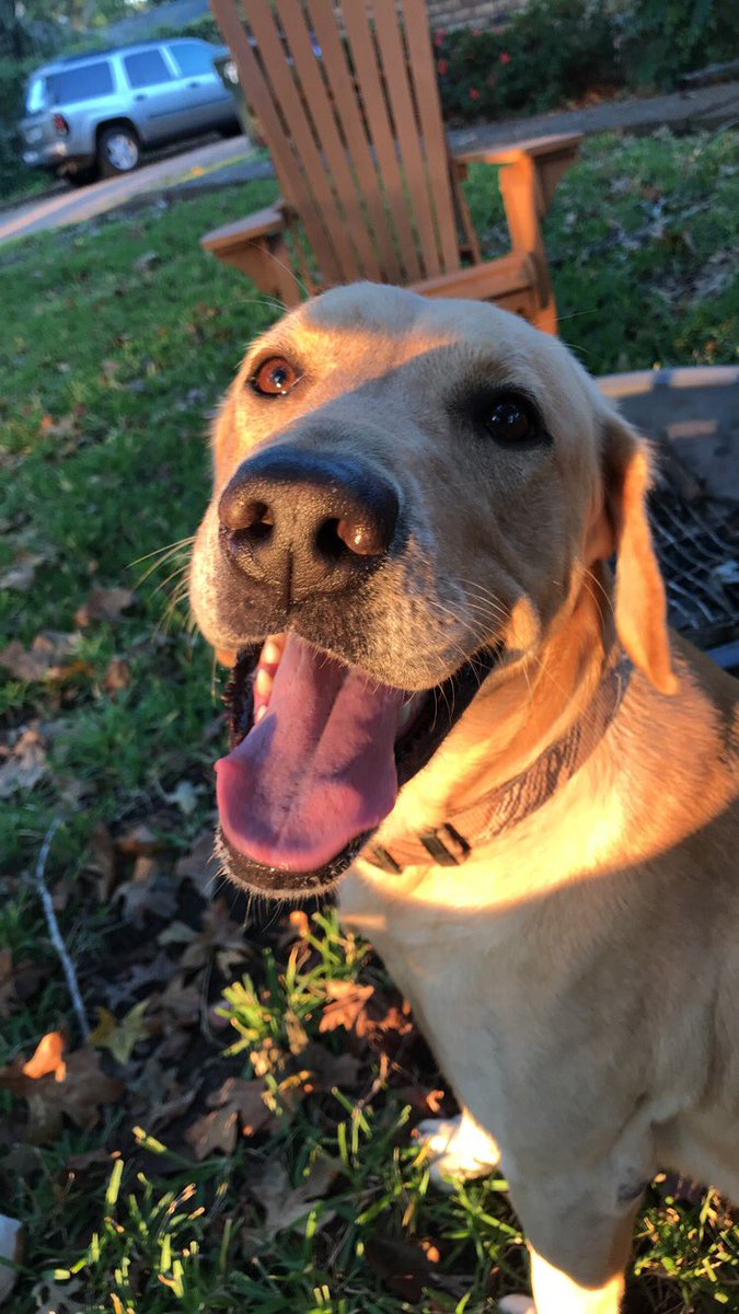 riley_grace5's tweet photo. for every like this gets, i’ll tell him i’m thankful for him https://t.co/9c7TVbbiry