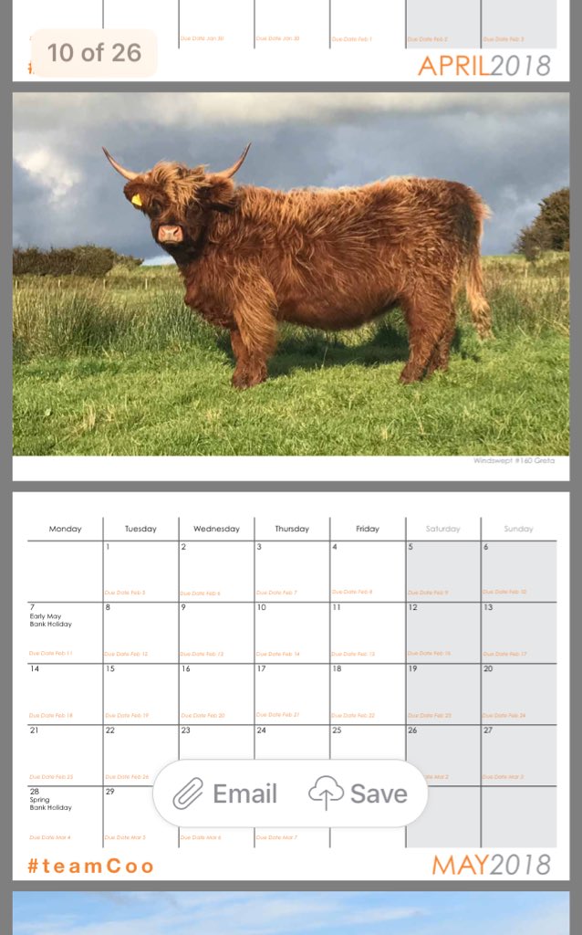 newlandfarm's tweet photo. Proofs all Approved #teamStripeCalendar18 #teamCooCalendar18 #UNofEwesCalendar18 off to the Printing Press π¬π§Β£10 πͺπΊΒ£12 πΒ£15 #DueDates #BreedersChart
DM or teamstripecalendar@gmail.com https://t.co/5ytsU0qTpx