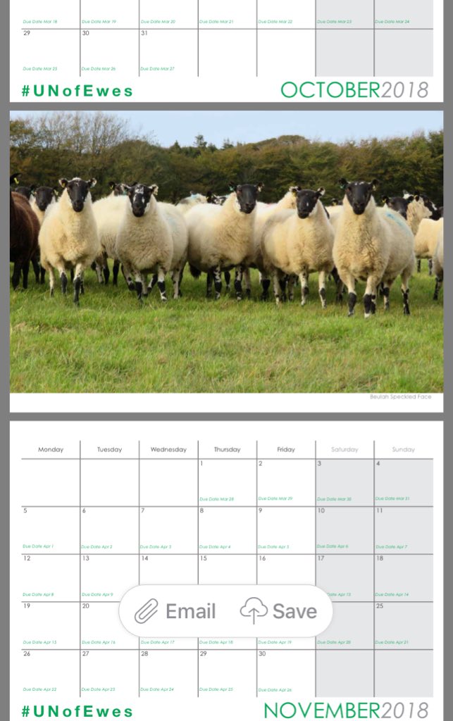 newlandfarm's tweet photo. Proofs all Approved #teamStripeCalendar18 #teamCooCalendar18 #UNofEwesCalendar18 off to the Printing Press π¬π§Β£10 πͺπΊΒ£12 πΒ£15 #DueDates #BreedersChart
DM or teamstripecalendar@gmail.com https://t.co/5ytsU0qTpx