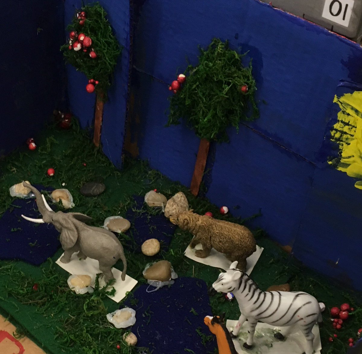RemekieEdwards's tweet photo. Working on habitats dioramas @GracedalePS https://t.co/gUTqTRdPMh