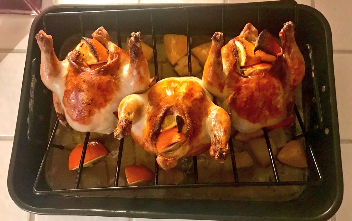 Moetini28's tweet photo. Save a turkey stuff a hen! #thanksgiving #thankful #cornishgamehens https://t.co/IUs5xXOr7H
