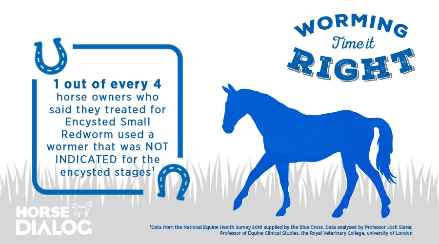 HorseDialog's tweet photo. #RiderHour Have you chosen the right wormer for encysted small redworm? Speak to your Vet or SQP. Find out more: https://t.co/hJxRXczQhB #timeitright https://t.co/KpcoLR7u0w
