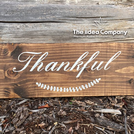 TheiideaCompany's tweet photo. Happy Thanksgiving from The Iidea Company! 
Comment with something that you’re thankful for.

https://t.co/Kqrg95RdRQ

#Agave #Food #Thanksgiving #holidays #TheIideaCompany #HappyThanksgiving https://t.co/R8zA3AXKAi