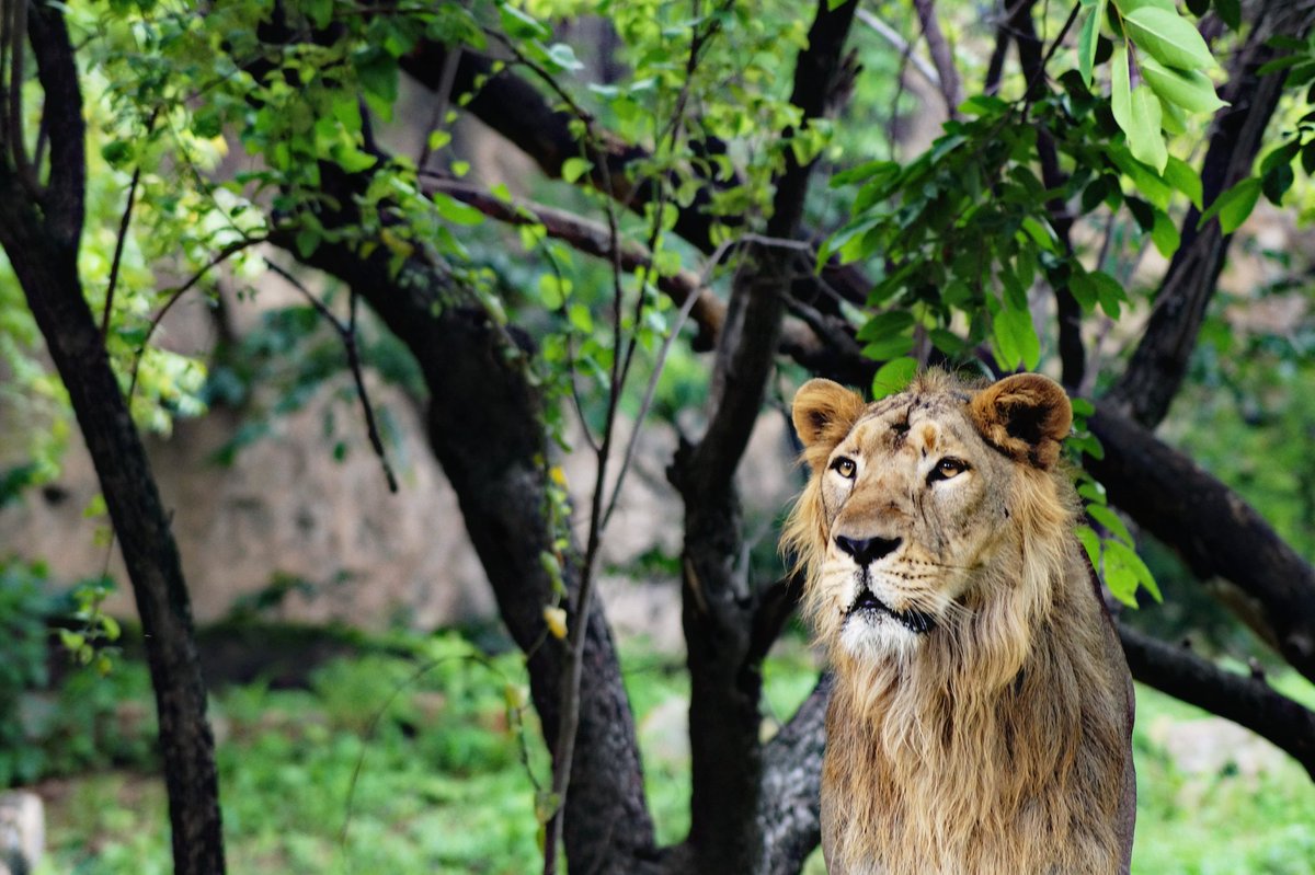 Srishti_J97's tweet photo. ONCE YOU BECOME FEARLESS, LIFE BECOMES LIMITLESS. 
 #PicOfTheDay https://t.co/XfMOLicUEK