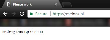 MelonzDev's tweet image. After hours of screaming "WHY ISN'T THE WEBSITE WORKING??!?!?", I realized I forgot to port forward 80 and 443. #JustWebDevThings