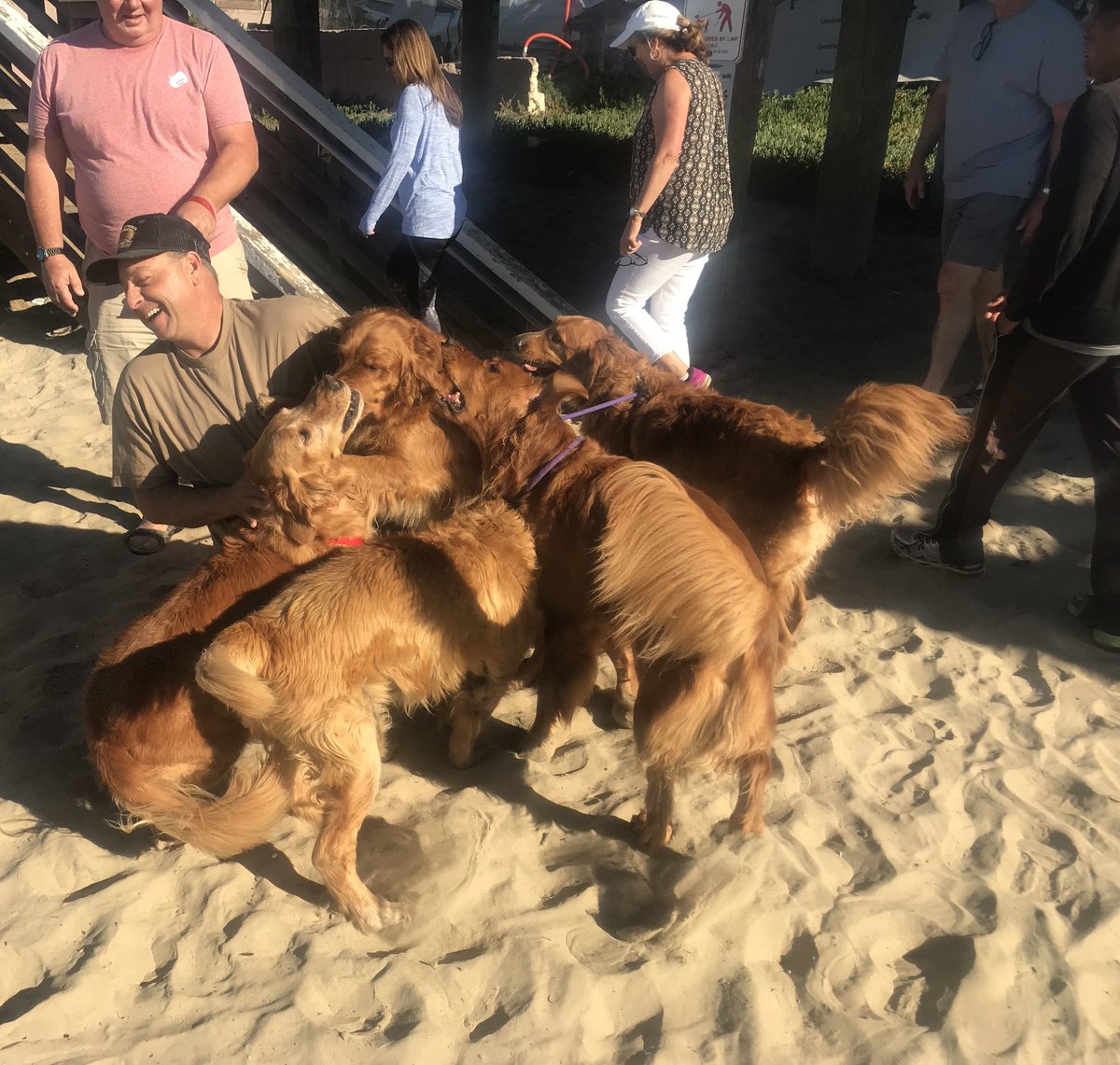 jameswogan's tweet photo. #PismoBeachTurkeyTrot raised $$ for #SLOFoodBank feeding #homeless families; fun 2 C #children &amp; #TurkeyTrotdogs, - running 4 a good cause #turkeytrot2017 https://t.co/8pJC0viZ4a