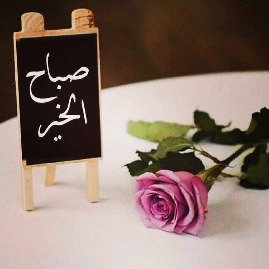 reeem32181's tweet photo. احلاحبايبي متابعيني فديتك💋🌷🌹🌸 https://t.co/yJU95Mj3BQ