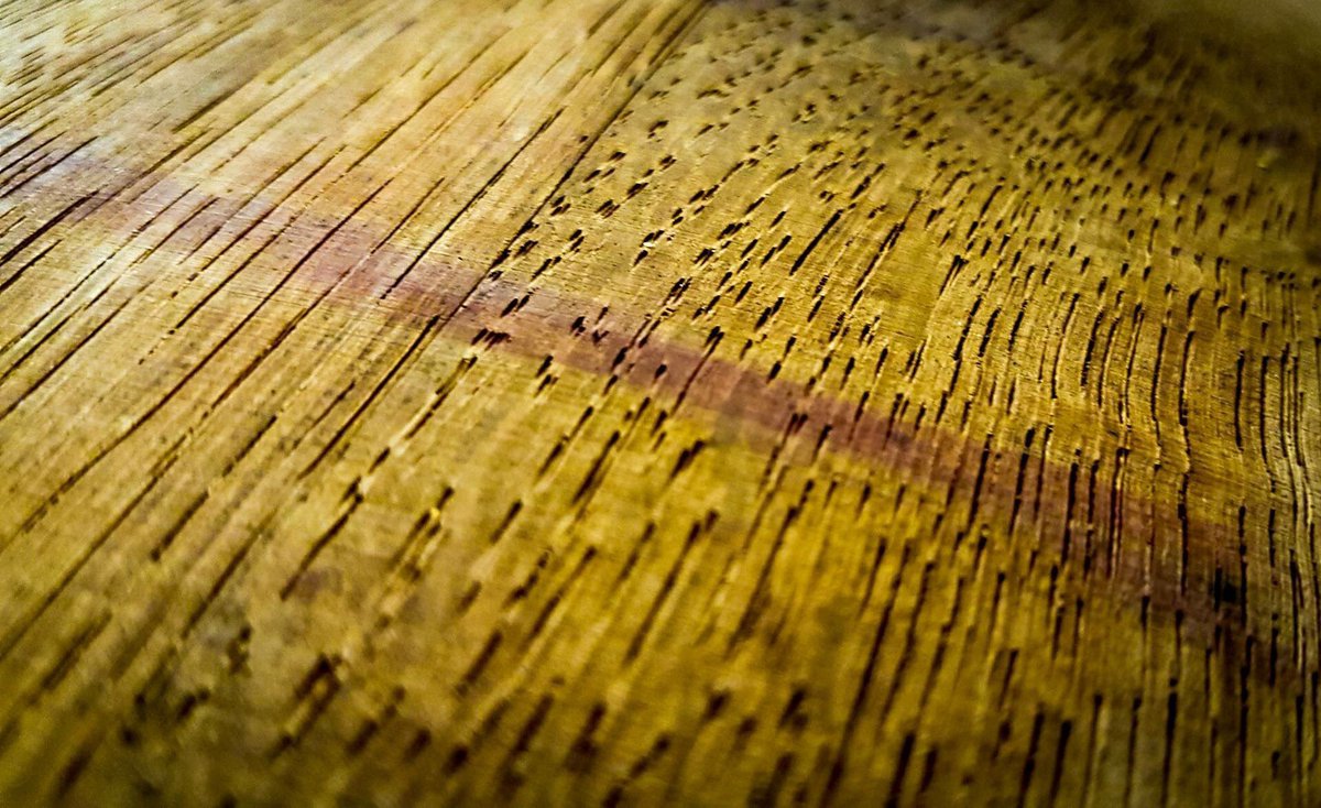 chiappiniwinery's tweet photo. Good wines need time! 

Il nostro Guado de' Gemoli a riposo per 20 mesi in barriques di #rovere francese. 

Our #guadodegemoli 2017 will be 20 months in new french #oak #barrels.
#chiappiniwinery #bolgheri #winelover #winetasting #winemaker #bolgheri #toscana #wine https://t.co/CgXxlQhWG8