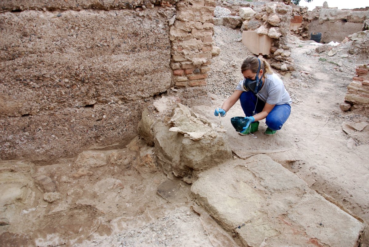 AlcazabaAlmeria's tweet photo. Para el 2018 queremos animar al alumnado de #Humanidades de la @ualmeria a realizar sus prácticas con nosotros. Nos centraremos de manera práctica en la conservación del patrimonio arqueológico, actuando de manera tutelada en diversas zonas de la #AlcazabaAlmería. Os esperamos!! https://t.co/r3D77KjAwX