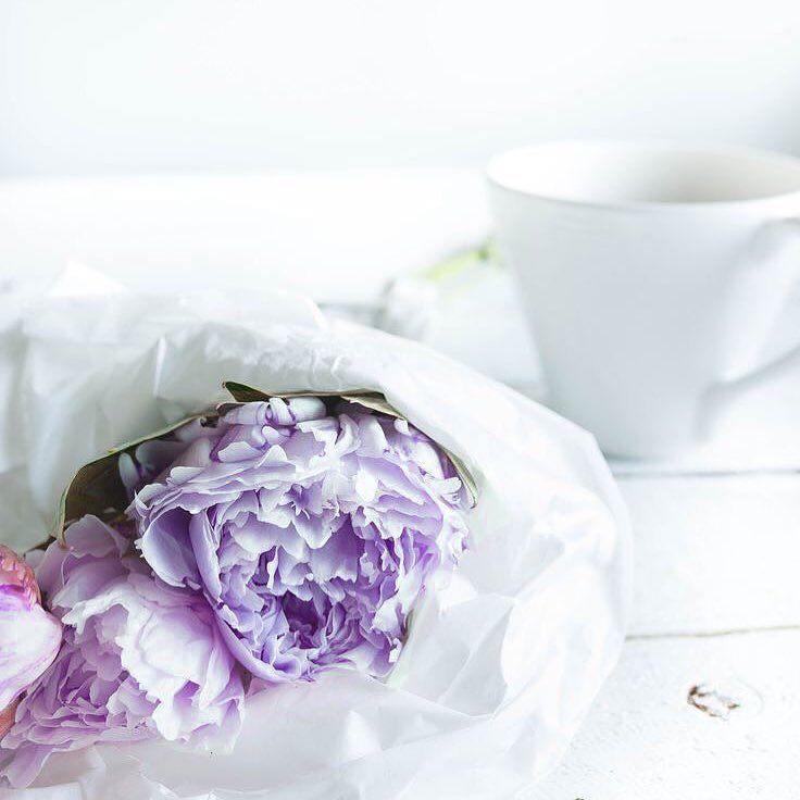 marketmeca's tweet photo. The calm before the storm. Once upon a time, Canadians waited eagerly for Boxing Day... Happy Thanksgiving to our American friends. #thanksgiving #blackfriday

#coffeelover #yums #design #purple #creative #clean #smma #socialmedia #igers #instamood #art … https://t.co/CV1HpiDXHU https://t.co/H6CPVGjYsS